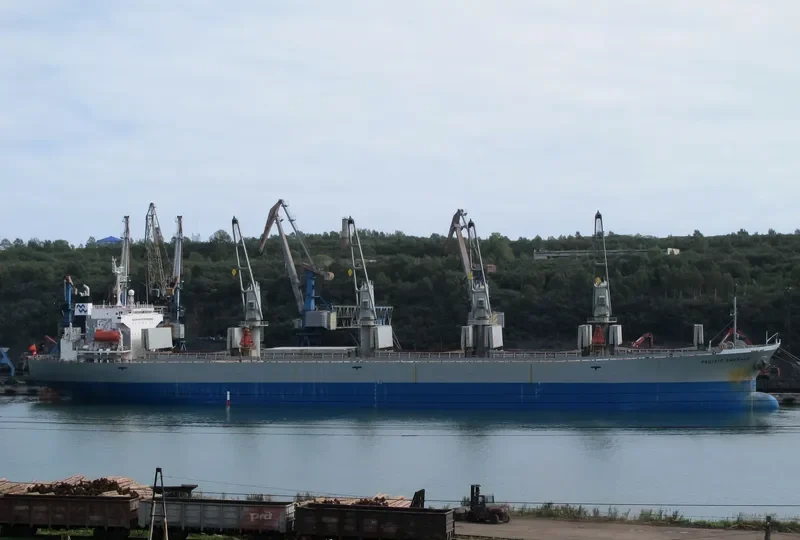 MIRA Bulk Carrier IMO 9116668