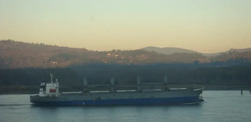 MIRA Bulk Carrier IMO 9116668 photo 6