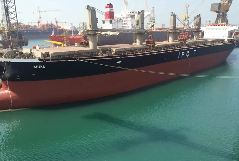 MIRA Bulk Carrier IMO 9116668 photo 15