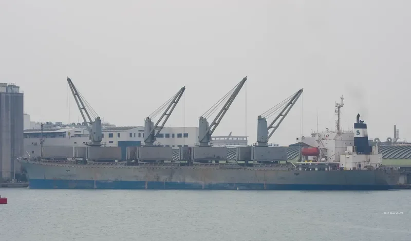 ANDA RAYA Bulk Carrier IMO 9116670