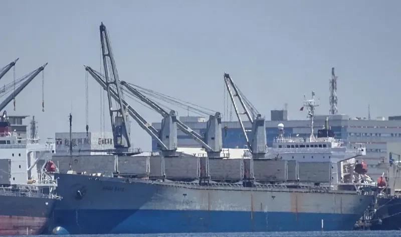 ANDA RAYA Bulk Carrier IMO 9116670 photo 2