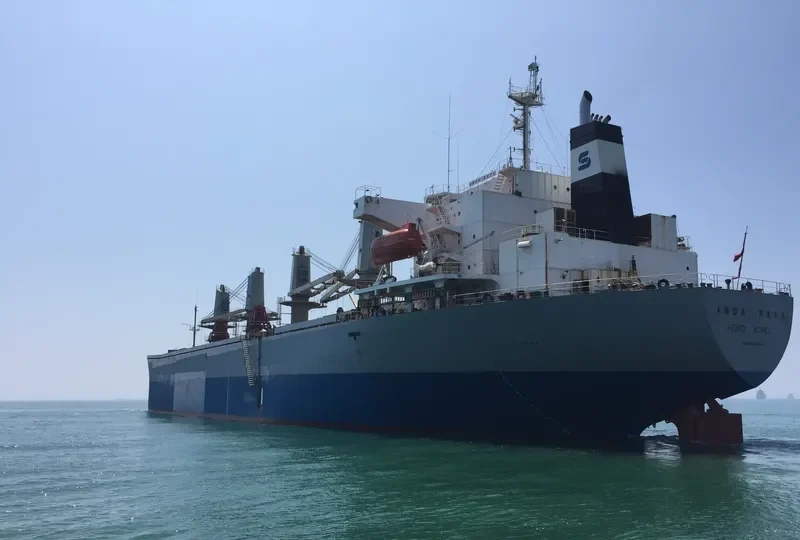 ANDA RAYA Bulk Carrier IMO 9116670 photo 4