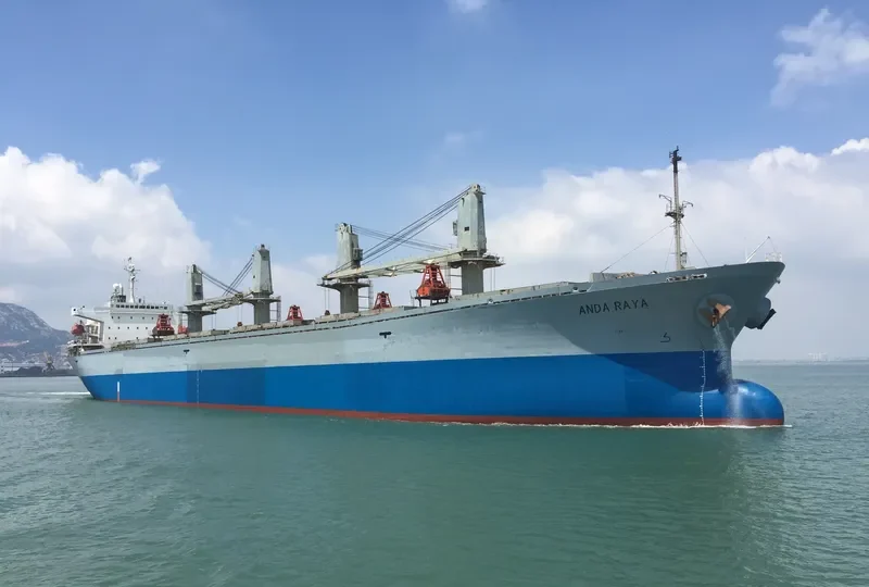 ANDA RAYA Bulk Carrier IMO 9116670 photo 5