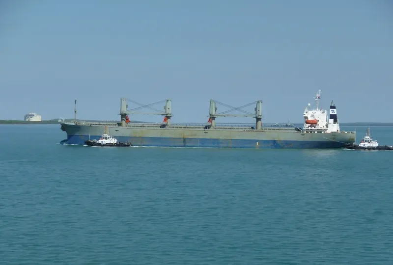 ANDA RAYA Bulk Carrier IMO 9116670 photo 6