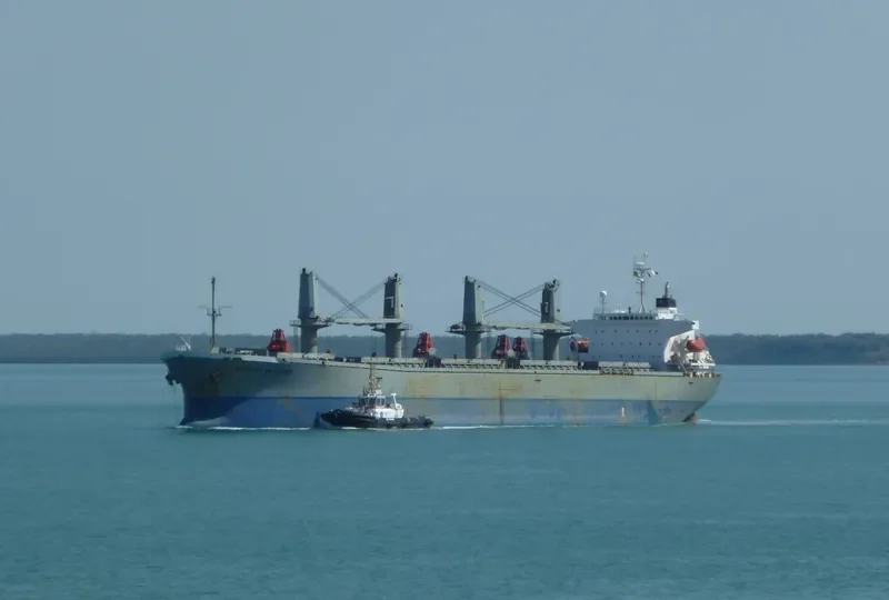 ANDA RAYA Bulk Carrier IMO 9116670 photo 7