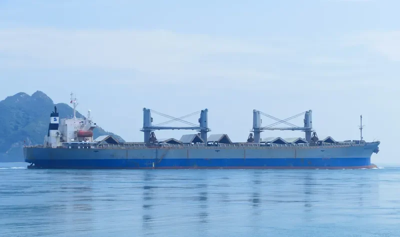ANDA RAYA Bulk Carrier IMO 9116670 photo 9