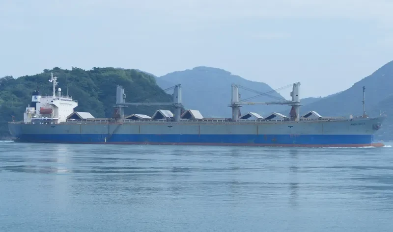 ANDA RAYA Bulk Carrier IMO 9116670 photo 10