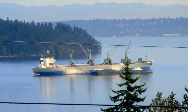 PACIFIC PAMELA Bulk Carrier IMO 9116682 photo 3