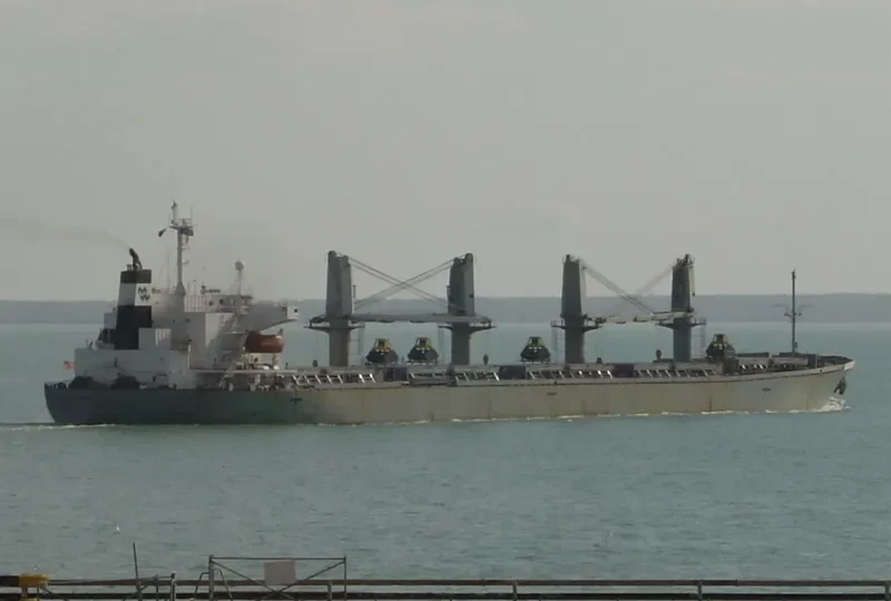 PACIFIC PAMELA Bulk Carrier IMO 9116682 photo 5