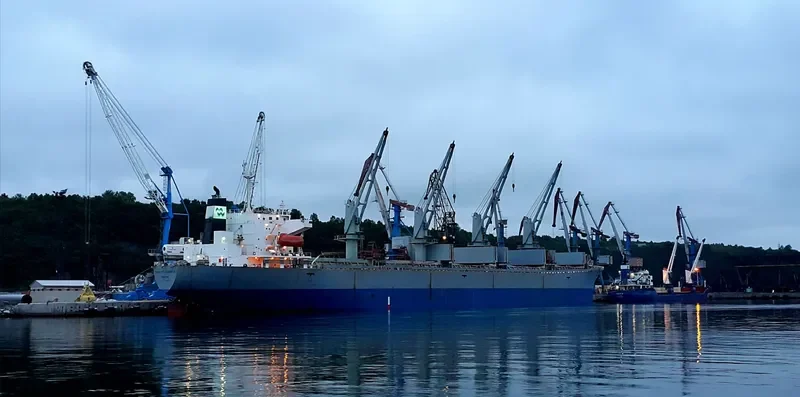 PACIFIC SELINA Bulk Carrier IMO 9116694 photo 2