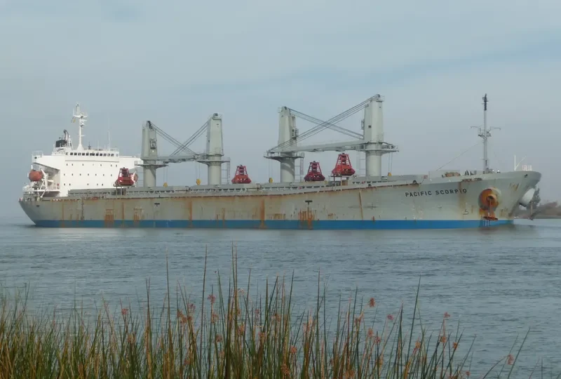 PACIFIC SELINA Bulk Carrier IMO 9116694 photo 4