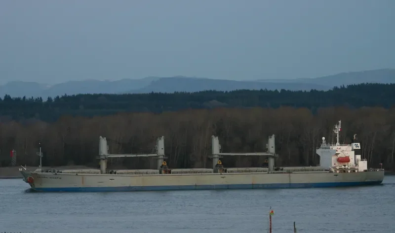 PACIFIC SELINA Bulk Carrier IMO 9116694 photo 5