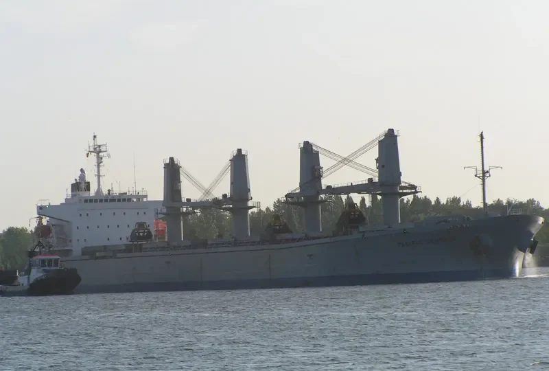 PACIFIC SELINA Bulk Carrier IMO 9116694 photo 7
