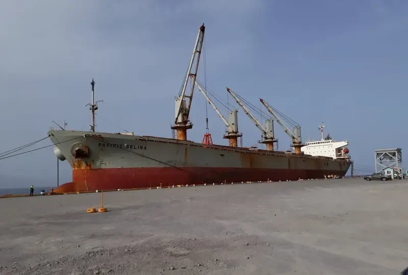 PACIFIC SELINA Bulk Carrier IMO 9116694 photo 9