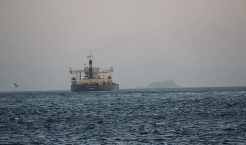AEOLIAN GLORY Bulk Carrier IMO 9116709 photo 2