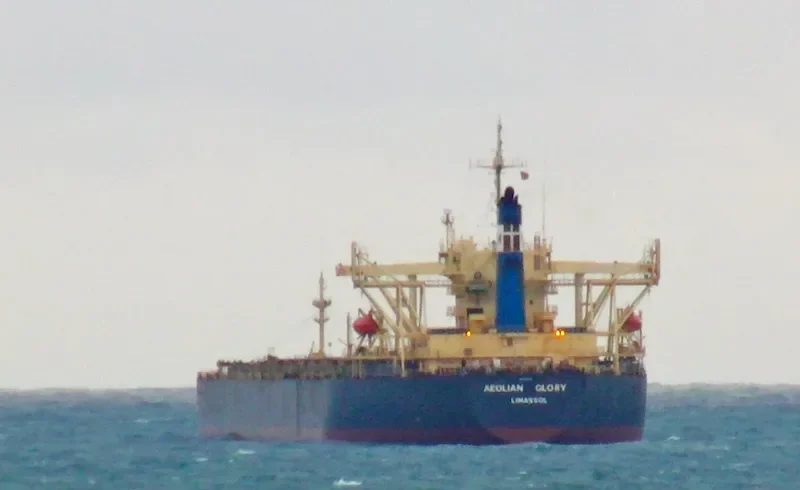 AEOLIAN GLORY Bulk Carrier IMO 9116709 photo 5