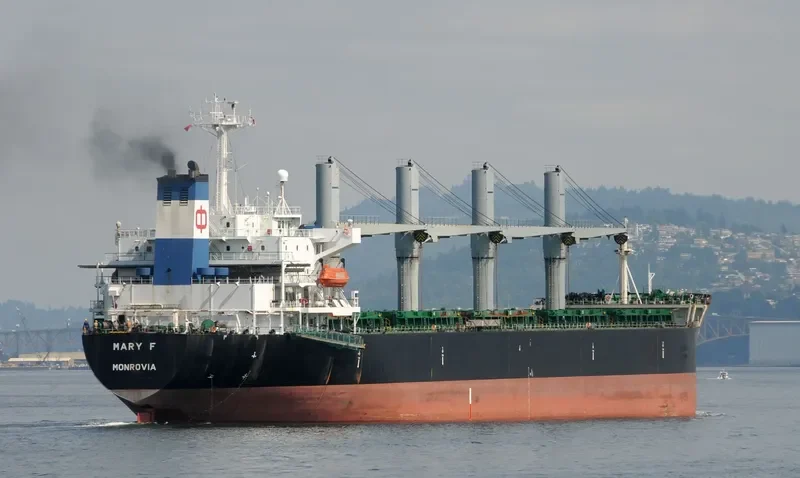 INDIAN OCEAN I Bulk Carrier IMO 9116723 photo 7