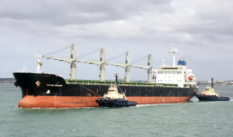 ORCHID DRAGON Bulk Carrier IMO 9116735 photo 4