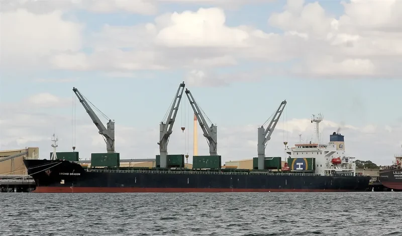 ORCHID DRAGON Bulk Carrier IMO 9116735 photo 5
