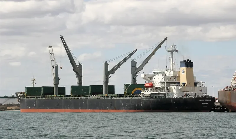 ORCHID DRAGON Bulk Carrier IMO 9116735 photo 6