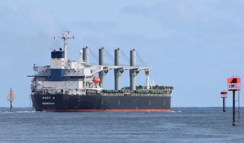 ORCHID DRAGON Bulk Carrier IMO 9116735 photo 8