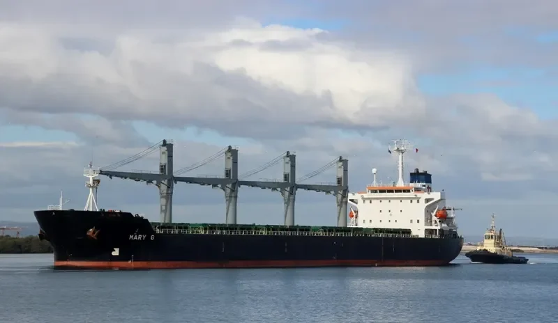 ORCHID DRAGON Bulk Carrier IMO 9116735 photo 10
