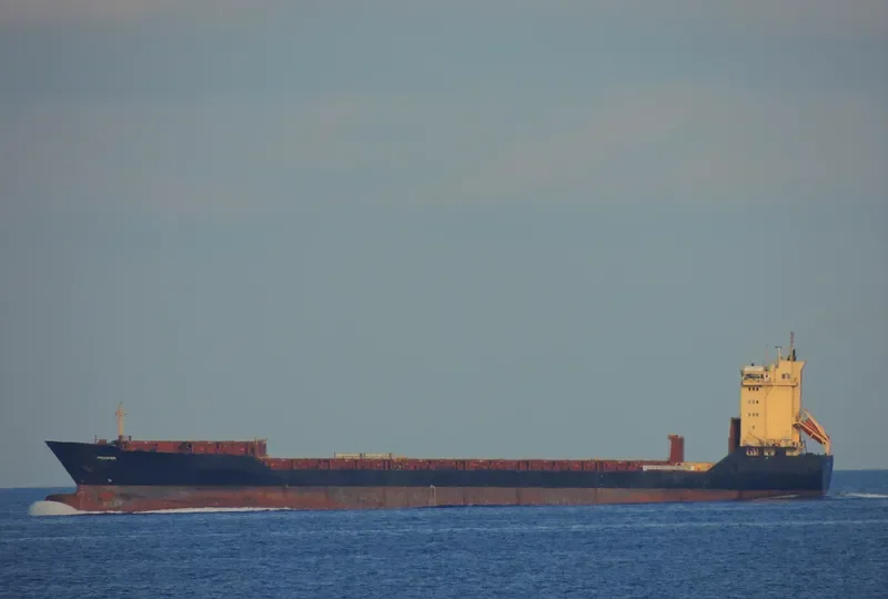 BAL PROSPER Container Ship IMO 9117181 photo 7