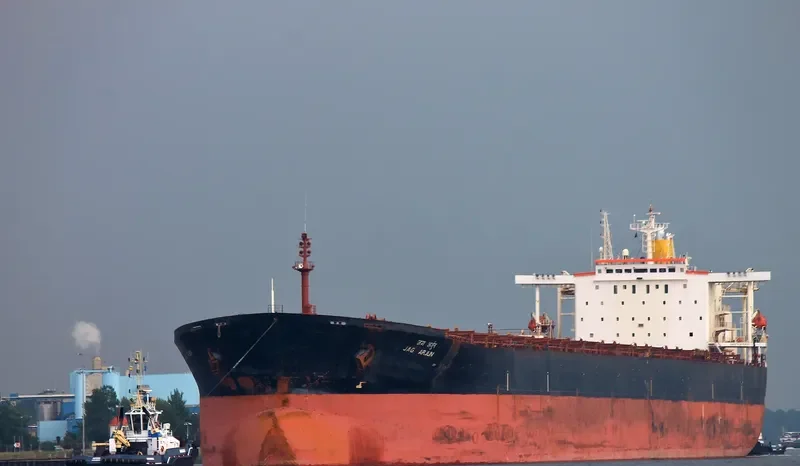 JAG ARJUN Bulk Carrier IMO 9117296 photo 2