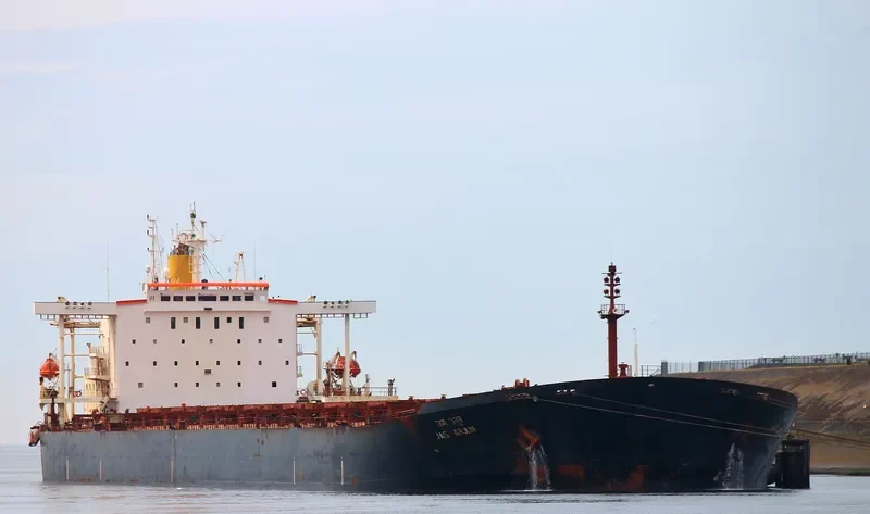 JAG ARJUN Bulk Carrier IMO 9117296 photo 8