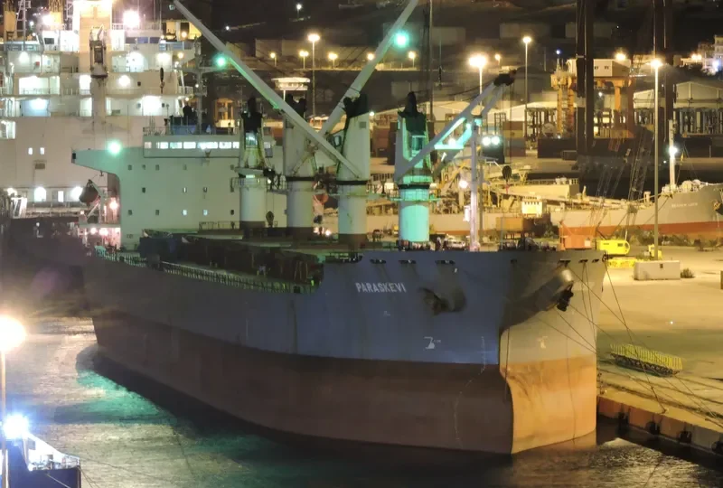 WANTONG SUMMER Bulk Carrier IMO 9117313