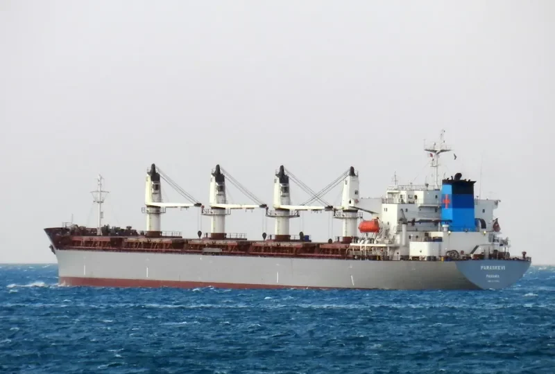 WANTONG SUMMER Bulk Carrier IMO 9117313 photo 4