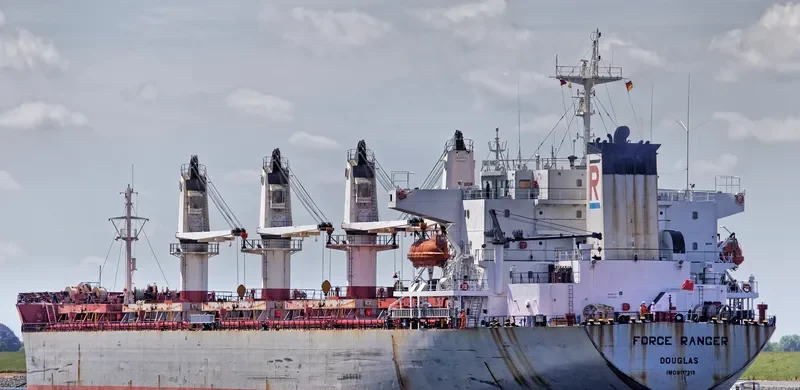 WANTONG SUMMER Bulk Carrier IMO 9117313 photo 5