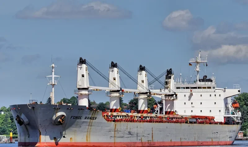 WANTONG SUMMER Bulk Carrier IMO 9117313 photo 6