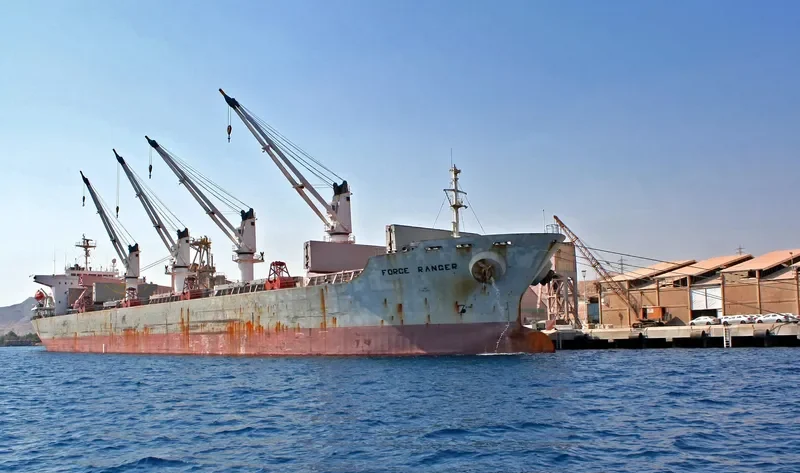 WANTONG SUMMER Bulk Carrier IMO 9117313 photo 10