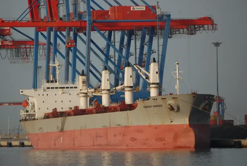 ENERGY RANGER Bulk Carrier IMO 9117325 photo 3