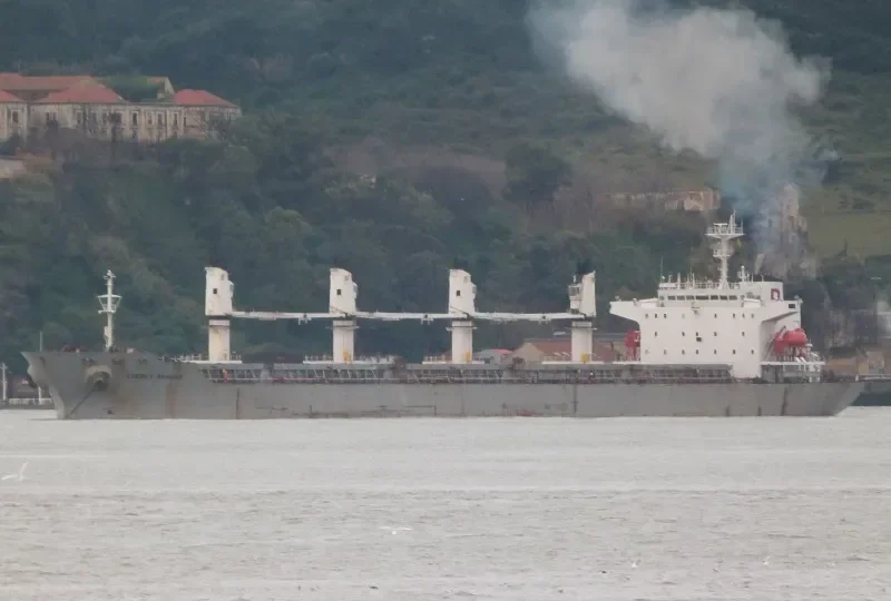 ENERGY RANGER Bulk Carrier IMO 9117325 photo 8