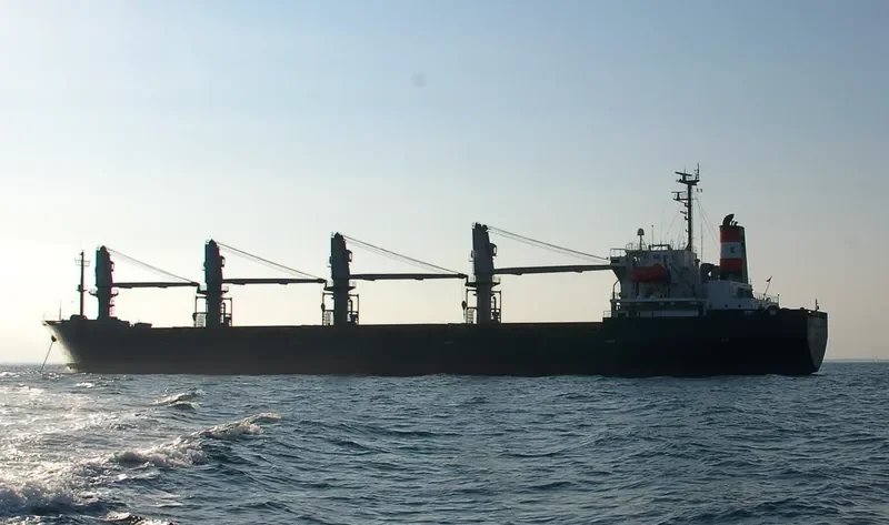 JIN SHUN FA Bulk Carrier IMO 9117375