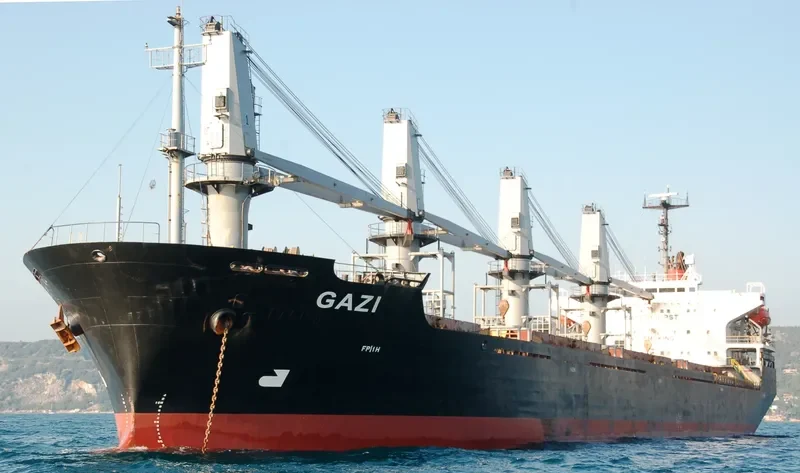 JIN SHUN FA Bulk Carrier IMO 9117375 photo 2