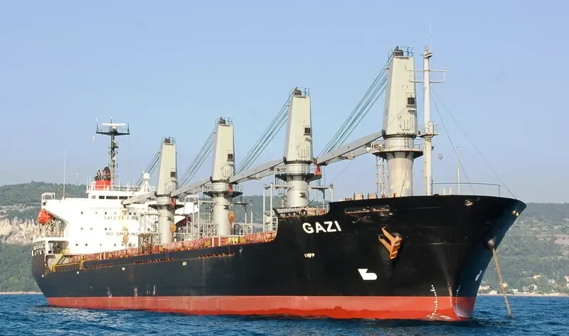 JIN SHUN FA Bulk Carrier IMO 9117375 photo 3
