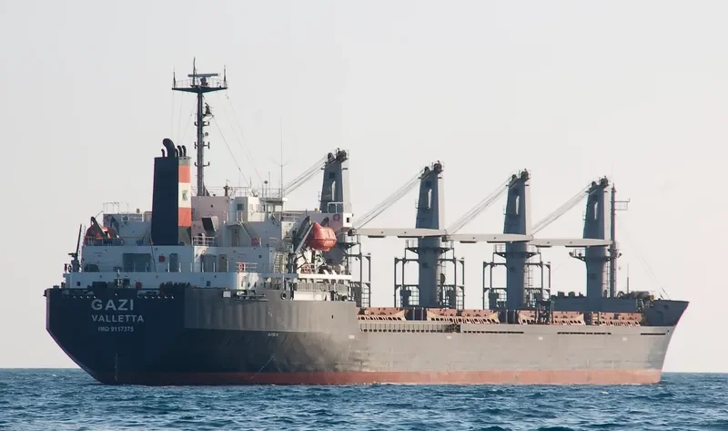 JIN SHUN FA Bulk Carrier IMO 9117375 photo 5