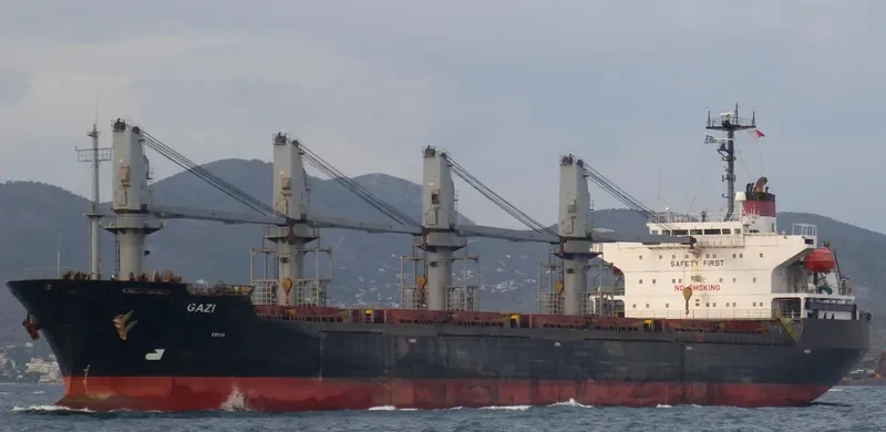 JIN SHUN FA Bulk Carrier IMO 9117375 photo 8