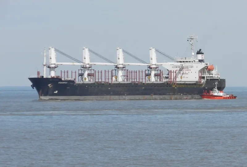 SEA WISE Bulk Carrier IMO 9117387 photo 2