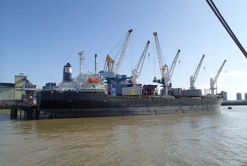 SEA WISE Bulk Carrier IMO 9117387 photo 5