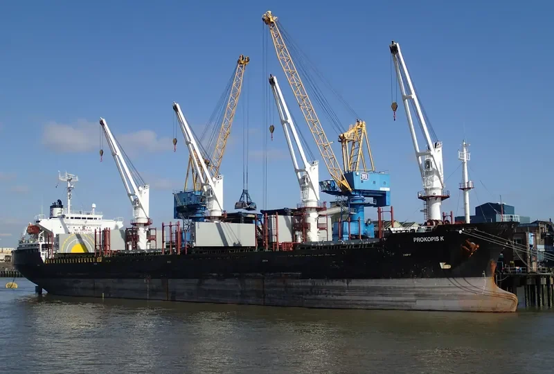 SEA WISE Bulk Carrier IMO 9117387 photo 6