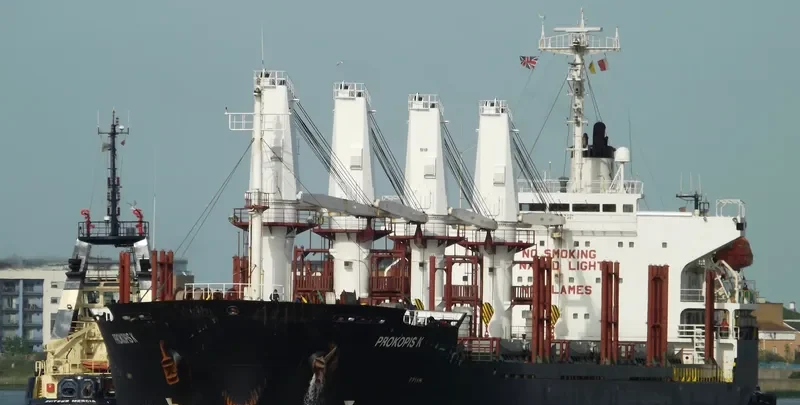 SEA WISE Bulk Carrier IMO 9117387 photo 7