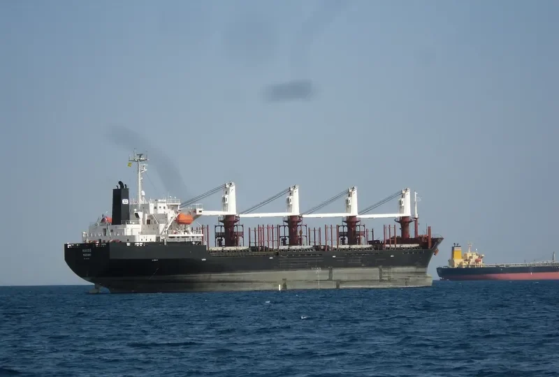 SEA WISE Bulk Carrier IMO 9117387 photo 10