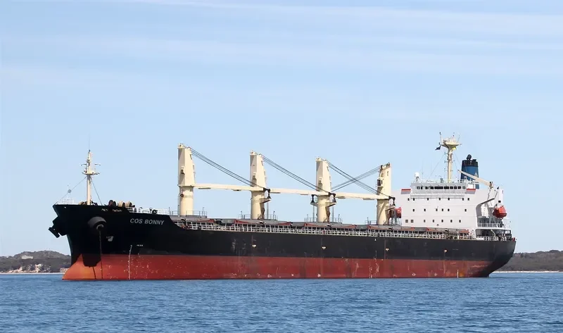 COS BONNY Bulk Carrier IMO 9117399 photo 3