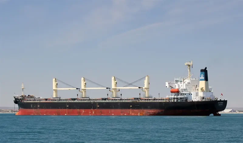 COS BONNY Bulk Carrier IMO 9117399 photo 4