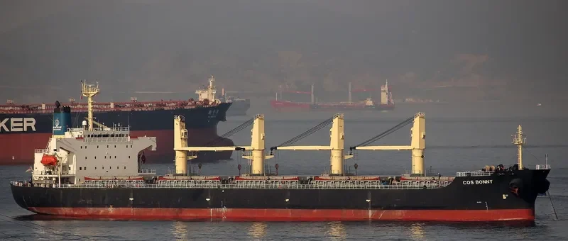 COS BONNY Bulk Carrier IMO 9117399 photo 5
