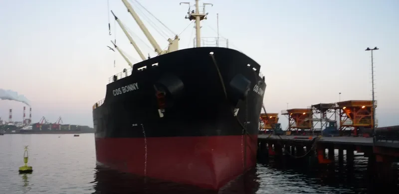 COS BONNY Bulk Carrier IMO 9117399 photo 6